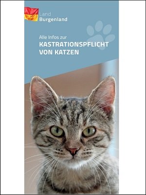 Information Katzenkastration